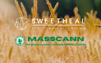 MassCann Education Village Panel